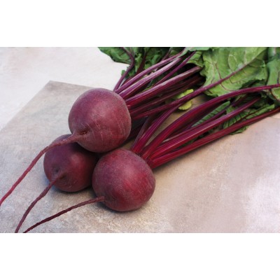 Παντζάρι CARDEAL F1 50.000 σπ.